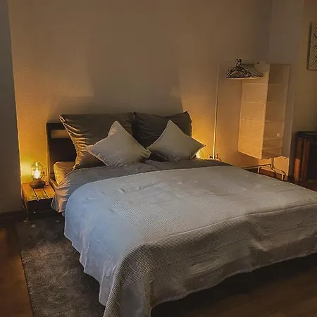 Apartment Modernes Am Zentrum Und Stadtpark